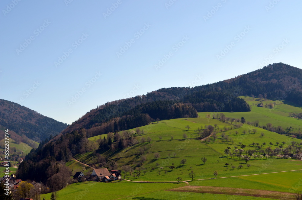 Schwarzwaldlandschaft im Glottertal