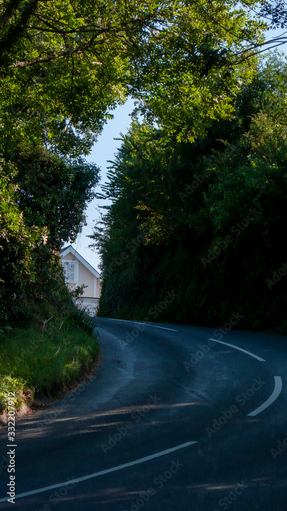 Obraz premium winding road