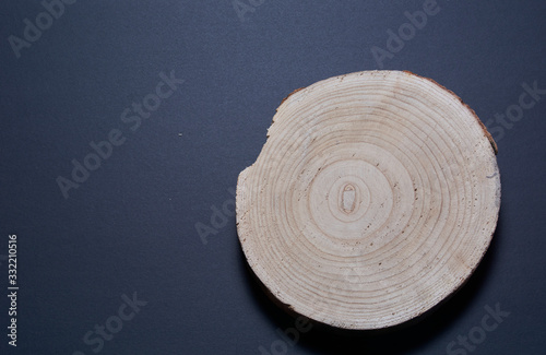 Wooden trunk rings on black background. Colors of nature