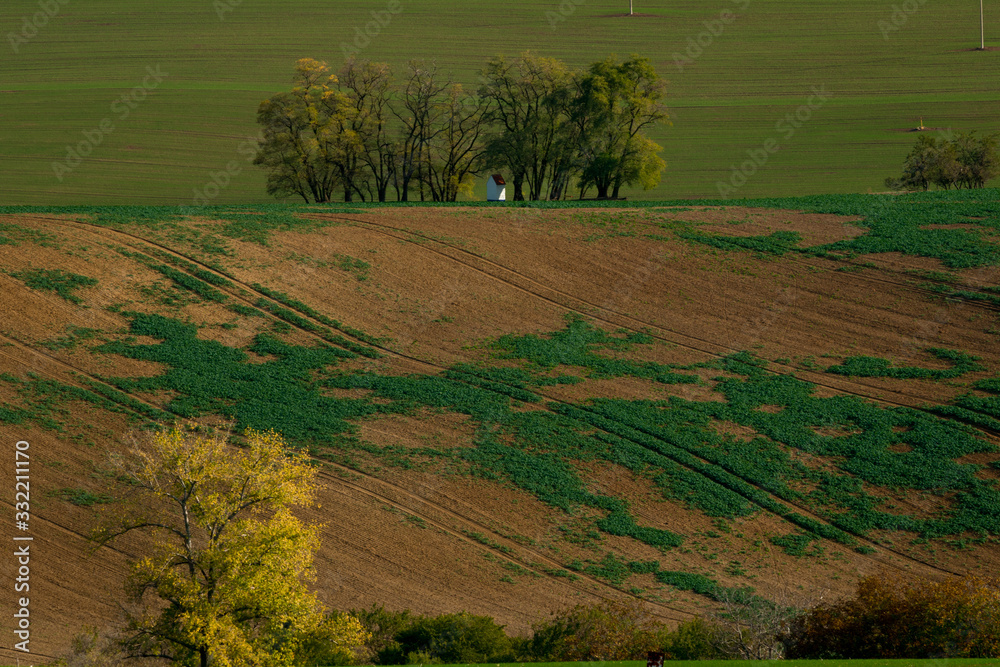 Fototapeta premium A chapel standing in the middle of beautiful Moravian fields