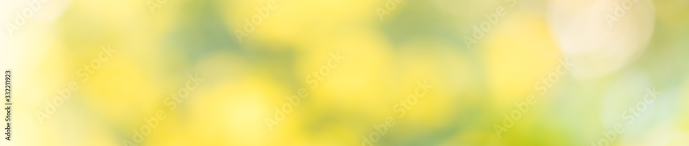 Abstract blurred out of focus and blurred yellow flower and green leaf background under sunlight with bokeh and copy space using as background natural plants landscape, ecology cover concept. Abstract blurred out of focus and blurred yellow flower and green leaf background under sunlight with bokeh and copy space using as background natural plants landscape, ecology cover concept.