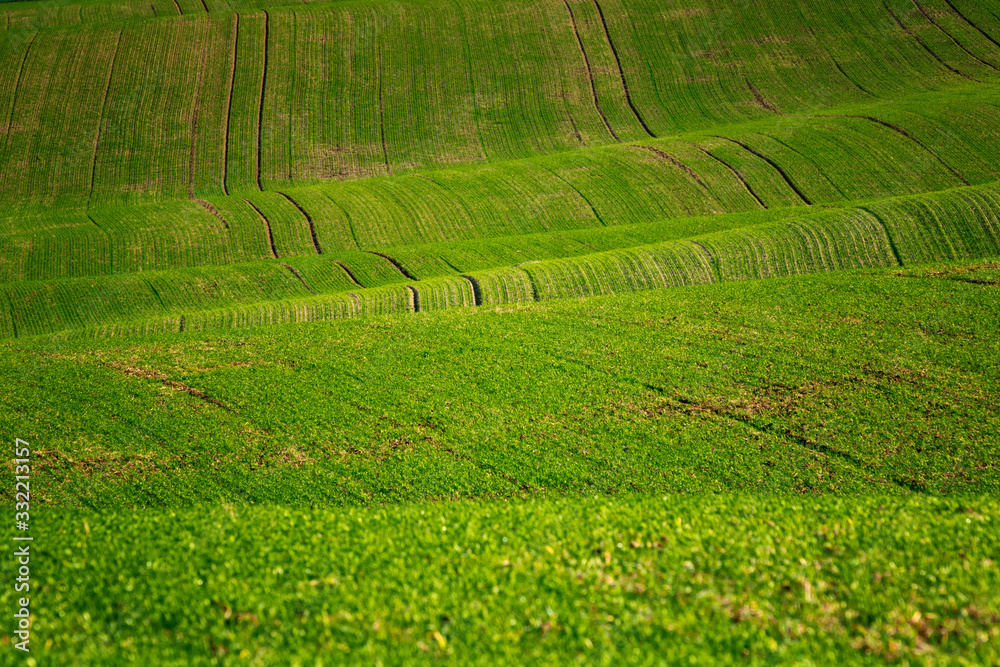 Moravian landscapes of wavy fields with a wealth of colors Moravian landscapes of wavy fields with a wealth of colors