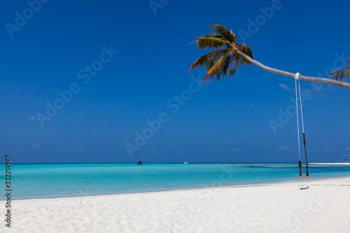 Tropical swing photo