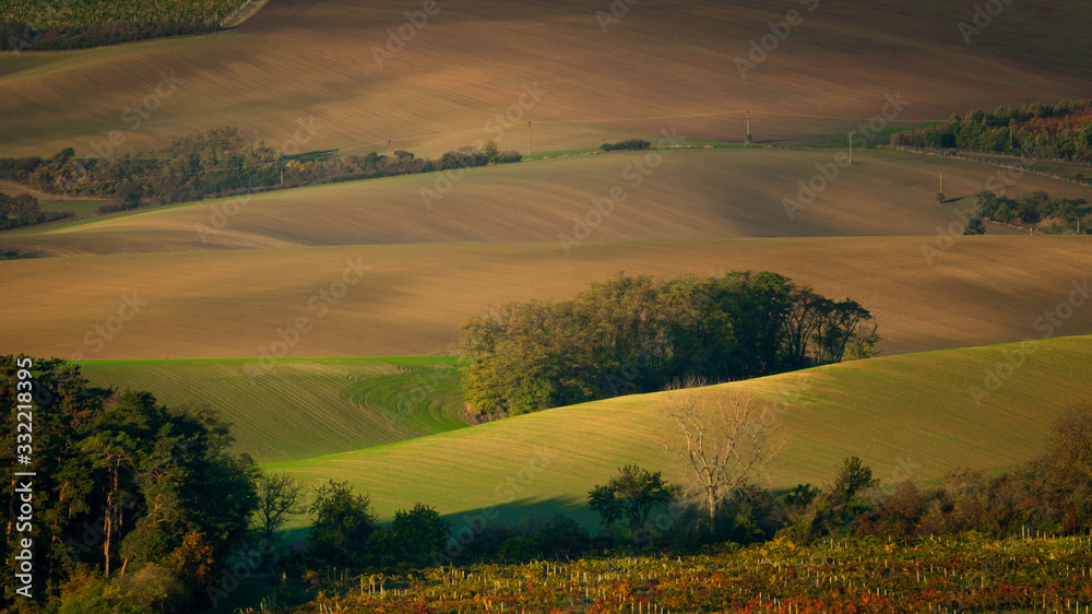 custom made wallpaper toronto digitalA wonderful morning in the Moravian fields in autumn. Beautiful colours