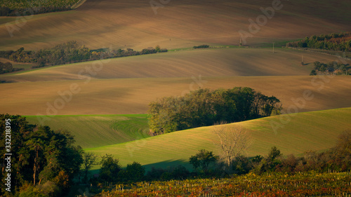 A wonderful morning in the Moravian fields in autumn. Beautiful colours