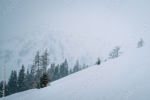 Schneefall, Baum, Gebirge