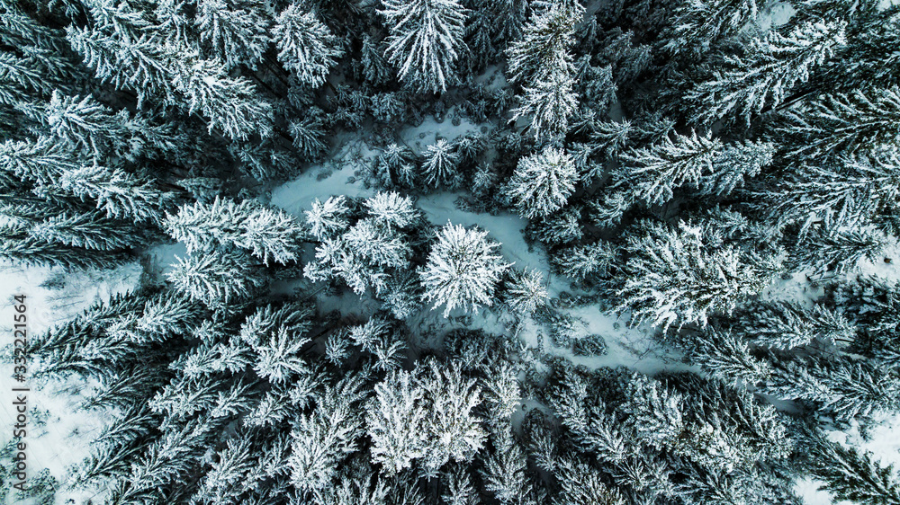 Fototapeta premium Winter Snow coniferous forest Carpathians Ukraine aerial photography.