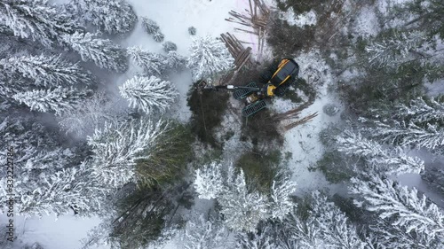 Sustaineable timber harvesting in Norway during wintertime, drone shot from above photo