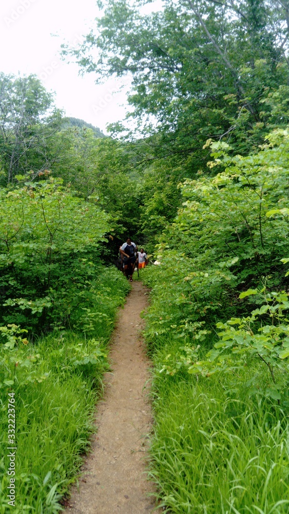 nature nature