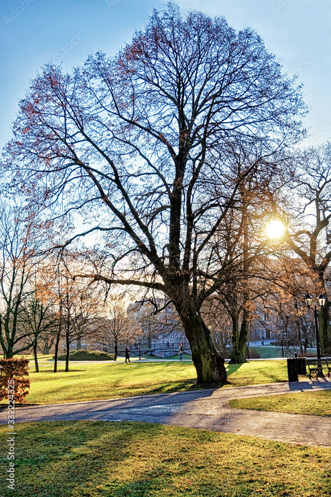 Obraz premium Winter park in center of Riga