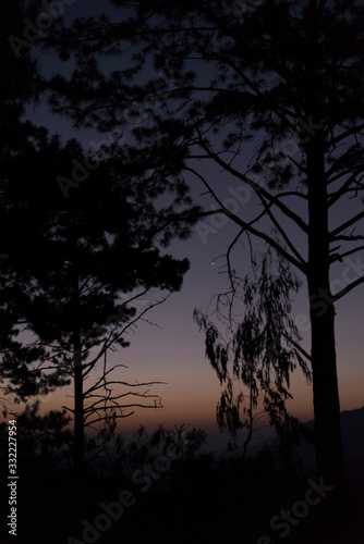sunset in the forest