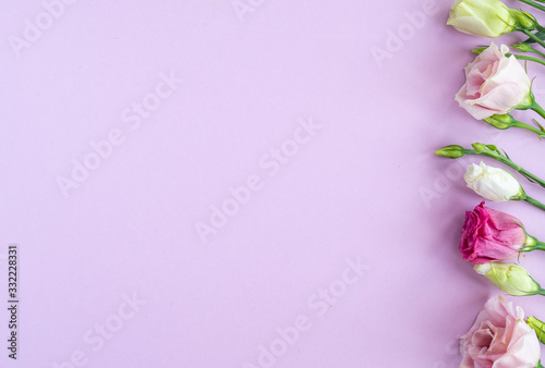 Flat lay with flower composition. Frame of rose flowers on pink background. Minimal spring concept. Top view, copy space.