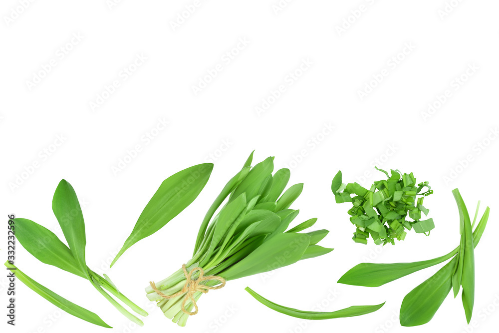 Ramson leaves isolated on white background with clipping path and full depth of field, Top view with copy space for your text. Flat lay