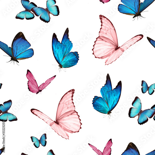 seamless pattern butterfly © tatyanaklestova