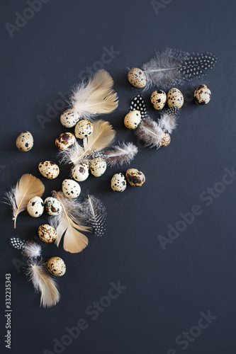 Quail eggs with feathers with a beautiful © Jane_S