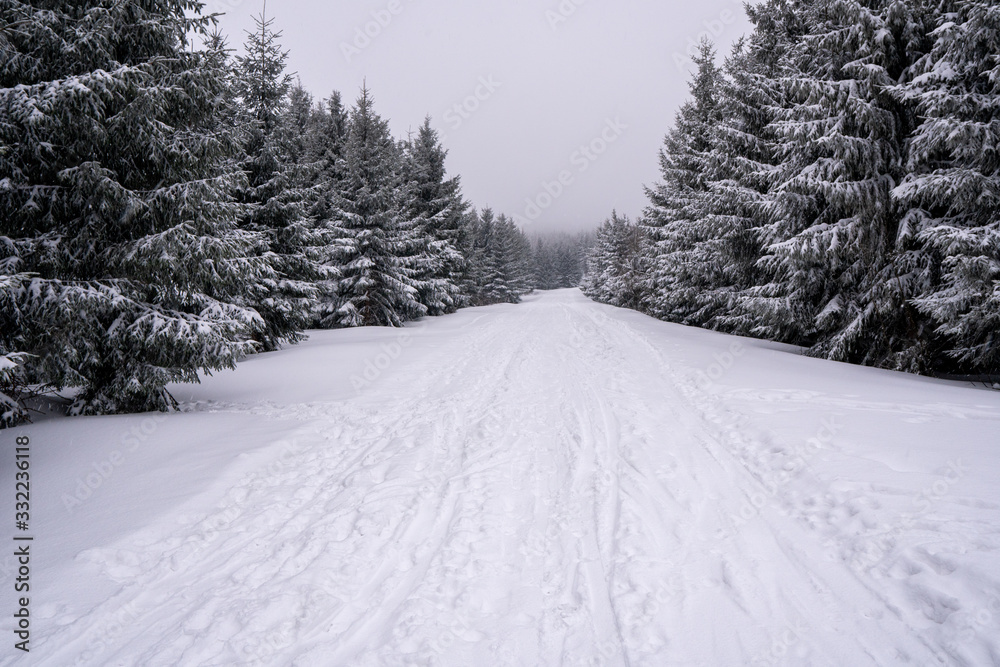 Obraz premium road in mountains covered with snow with spruce trees around, czech Beskydy mountains Lysa Hora