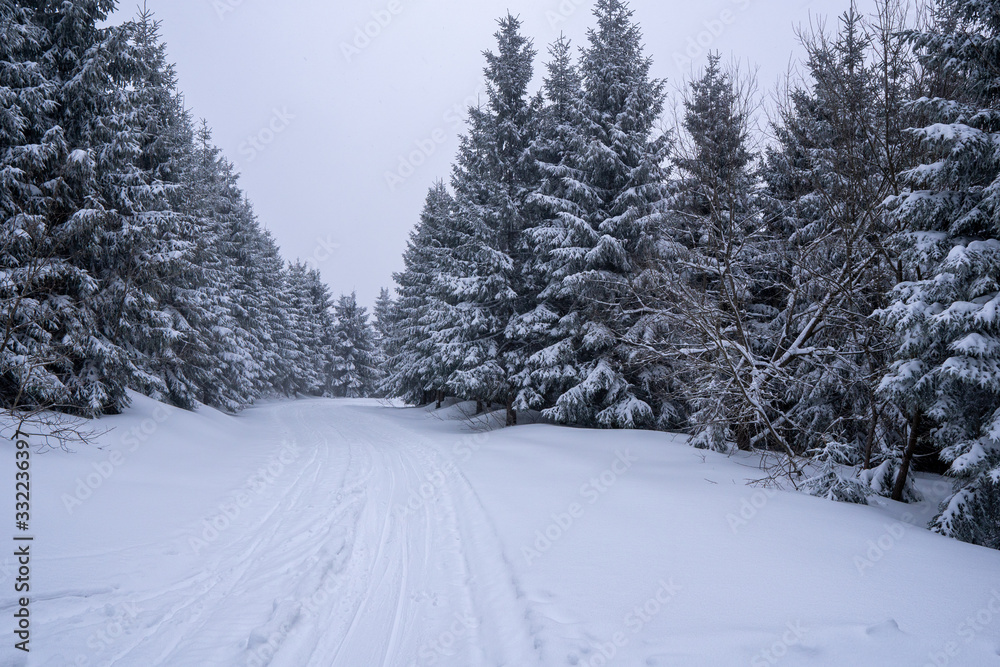 Obraz premium road in mountains covered with snow with spruce trees around, czech Beskydy mountains Lysa Hora