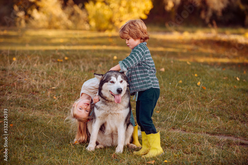 Dog and funny kids enjoying together outdoors. Cute children with dog walking in the field on a sunny summer day. Children tourists and dog in beautiful nature.