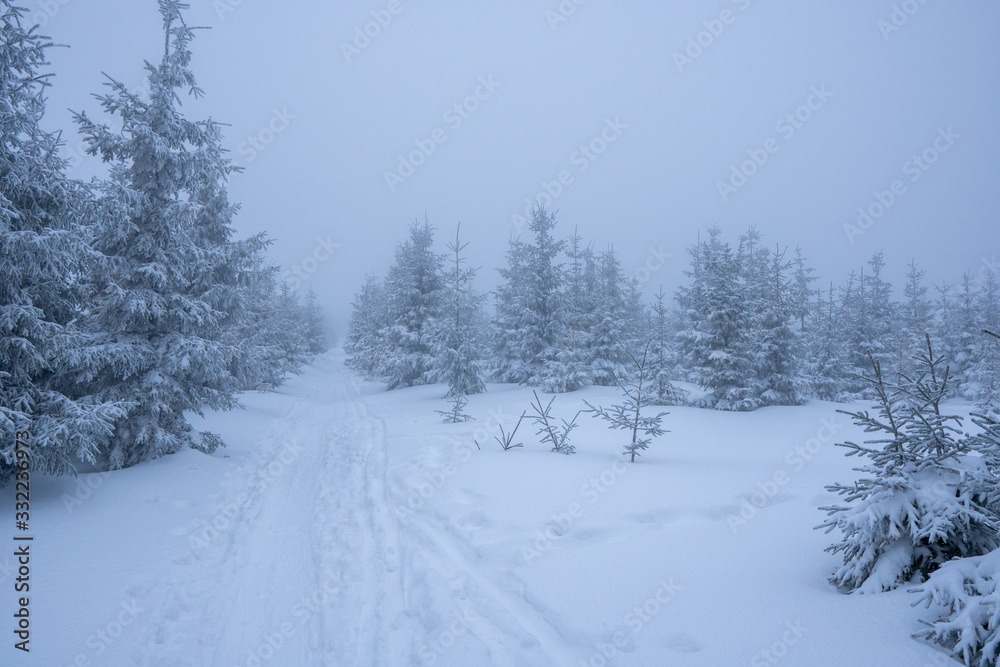 Gorgeous winter landscape in the mountains at snowy visibility with fog in the background, Czech Lysa Mountain Gorgeous winter landscape in the mountains at snowy visibility with fog in the background, Czech Lysa Mountain