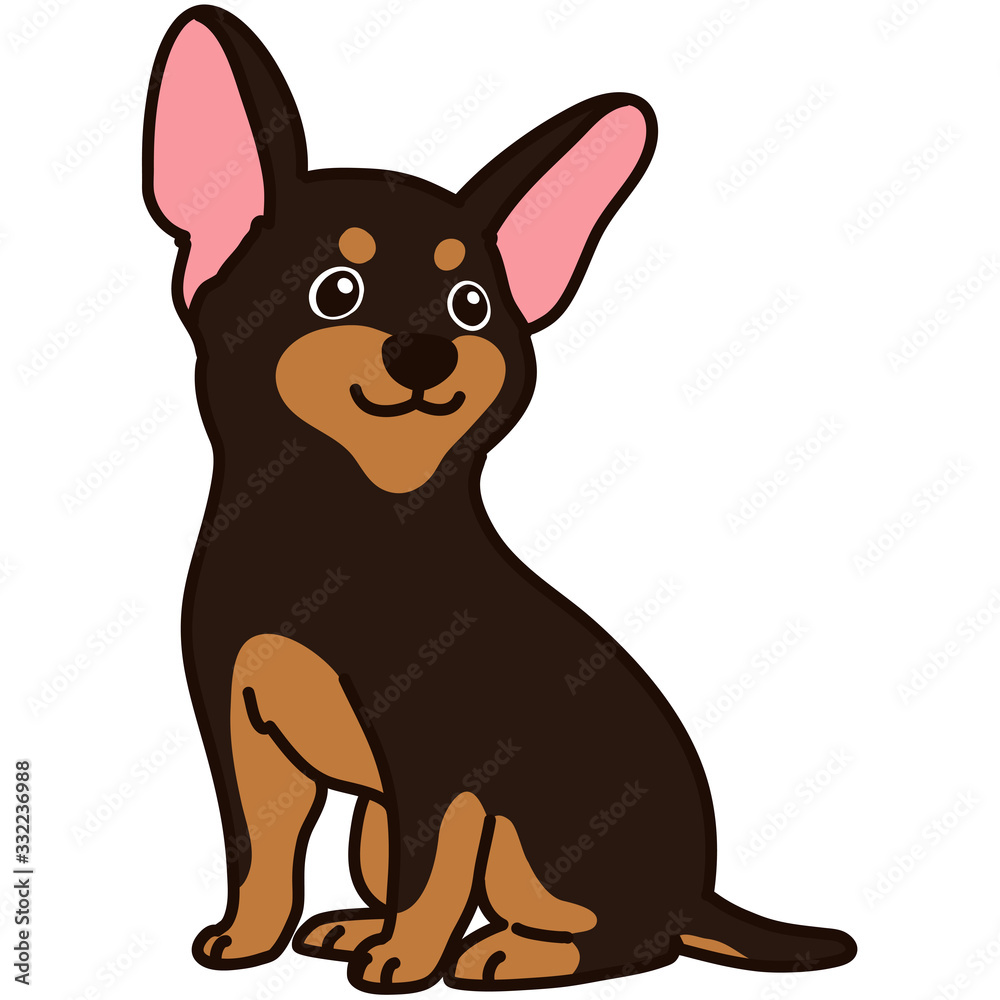 Outlined Miniature Pinscher sitting front view Outlined Miniature Pinscher sitting front view
