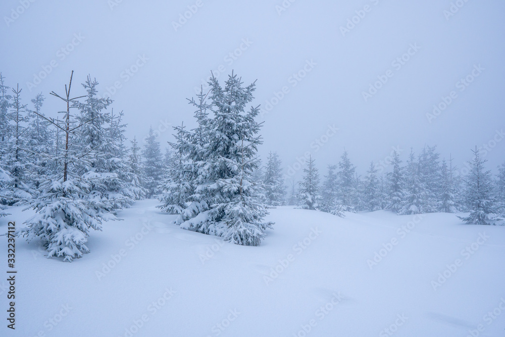 Gorgeous winter landscape in the mountains at snowy visibility with fog in the background, Czech Lysa Mountain Gorgeous winter landscape in the mountains at snowy visibility with fog in the background, Czech Lysa Mountain