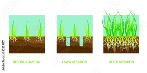 Lawn aeration. Process of aeration before and after, lawn grass care service, gardening and landscape design.  Gardening grass lawn care, landscaping service. Vector illustration