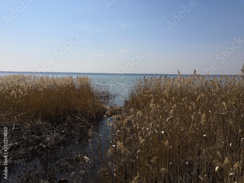 lake in winter