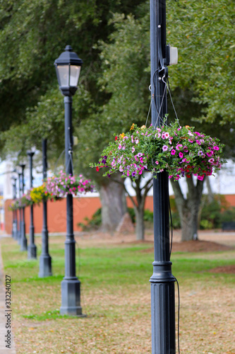 lamp posts with hanging baskets of petunias on small town main street alabama