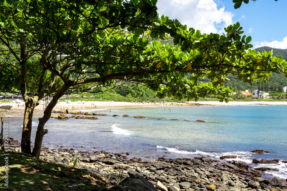 Árvore e o mar  azul na Praia tropical de Itapema, Santa Catarina