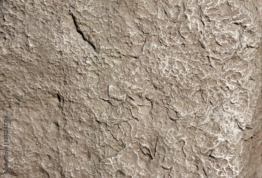 A stone with indentations. Raised texture wall. A stone with indentations. Raised texture wall.
