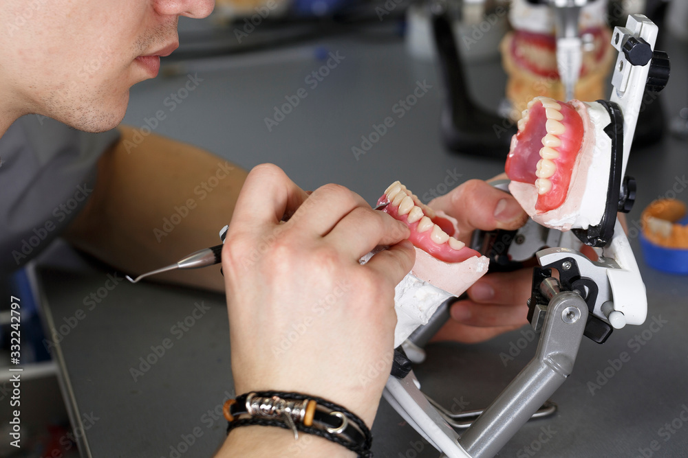 dental technician creates removable dental prostheses in articulator