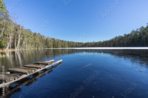 Small lake surrounded by tall trees that reflect in water. Perfect symmetry in clear pool. Thin ice layer on surface. Old boat bridge. Sunny afternoon in raised bog, Estonia, North Europe.