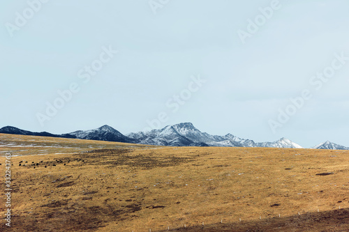 winter landscape of snow mountain with grassland 