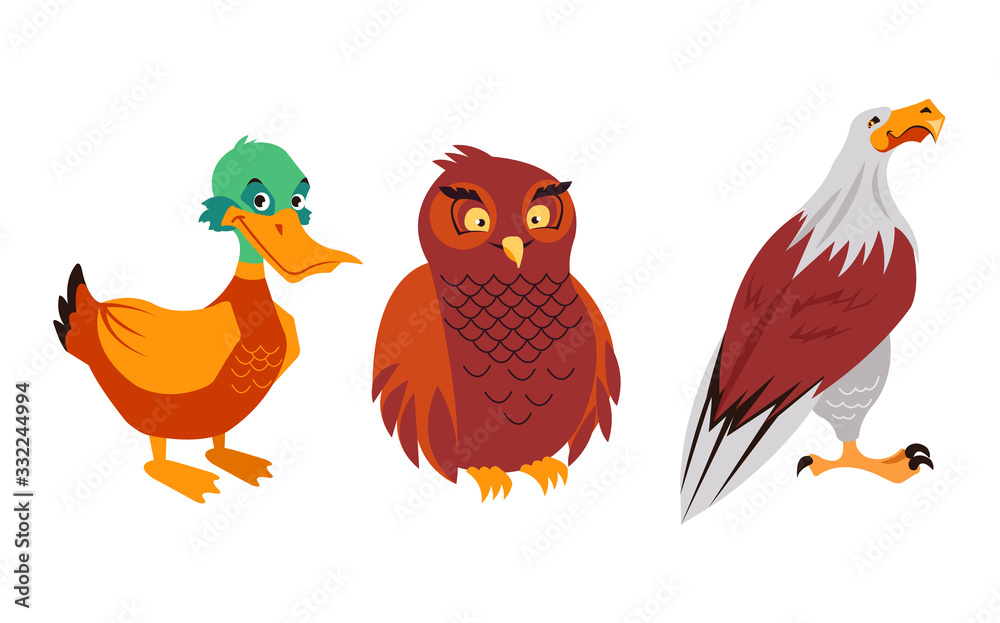 Forest birds duck eagle owl characters isolated set. Vector flat graphic cartoon illustration design Forest birds duck eagle owl characters isolated set. Vector flat graphic cartoon illustration design