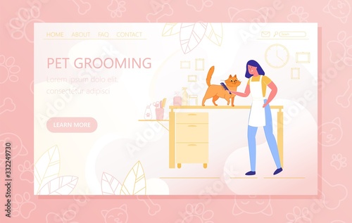 Preparing Cat for an Exhibition, Pet Grooming.