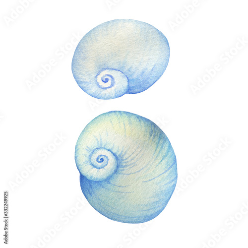 Illustrations of underwater life objects - blue sea shell  marine design. Watercolor hand drawn painting illustration isolated on white background.