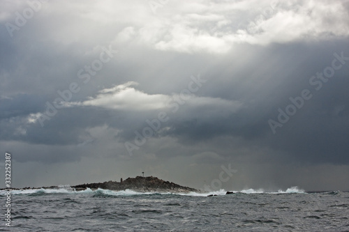 Seal island, South Africa, False bay 