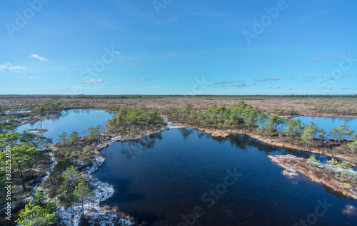 Aerial view of frozen swamp hollow surrounded by poor bonsai pines. Symmetrical reflections of trees, bright blue sky on water. Typical swamp lake. Nature Reserve, Marimetsa raised bog in Estonia.