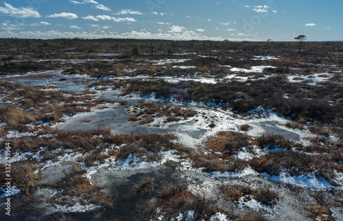Aerial view, raised bog in early spring, some pools are still frozen, some are already open and reflect the sky and bonsai size pine trees. Bright day, blue sky and white clouds. Endla Nature reserve.