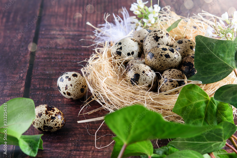 Easter quail spotted eggs in the hay nest on the wooden background. Green, sun lights and bokeh. Easter quail spotted eggs in the hay nest on the wooden background. Green, sun lights and bokeh.