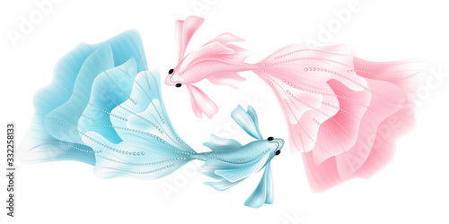 Colored fish isolated on white background. Yin Yang. Vector illustration. EPS 10