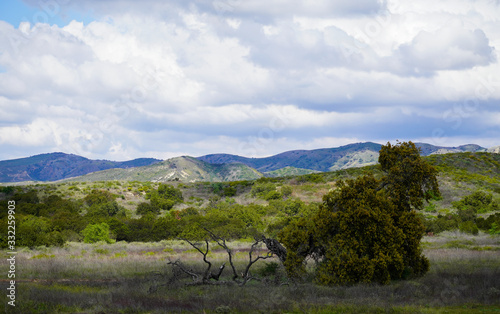 Walk through nature