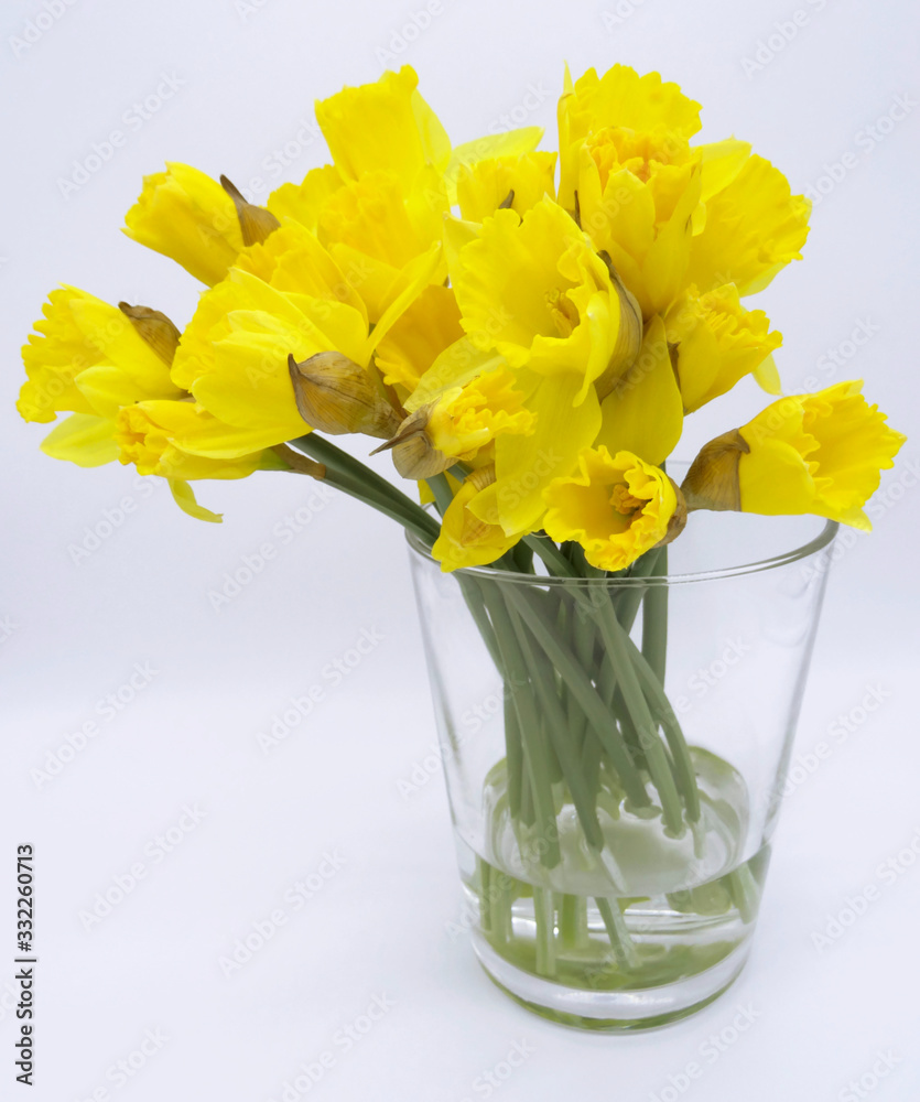 Bouquet of daffodils in a glas vase