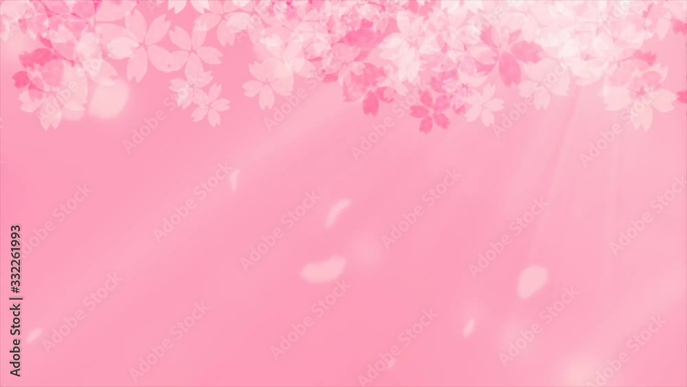 桜吹雪　ループ素材