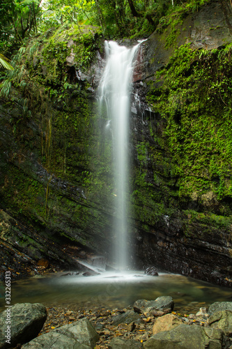 Fototapeta Naklejka Na Ścianę i Meble -  Juan Diego Falls, El Yunque, Puerto Rico