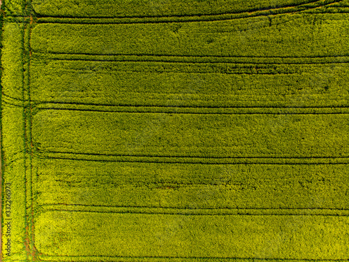 Wallpaper Mural Spring colza fields Torontodigital.ca