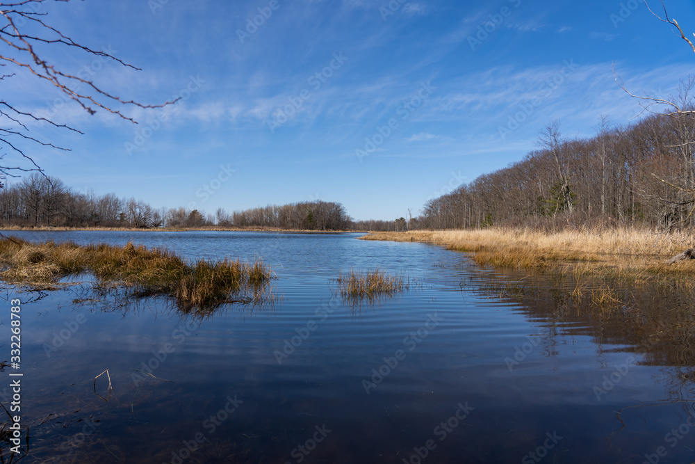 Pond and sky