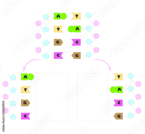 match of graphic dna molecule