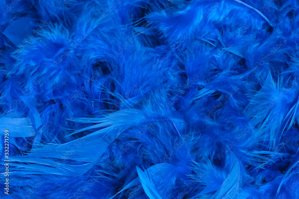 Texture blue feathers bohemian boho style vintage color trends, chicken feather bright texture background