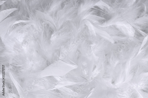 Texture white feathers bohemian boho style vintage color trends, chicken feather texture background
